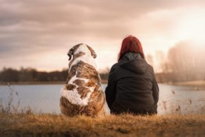 Estate, viaggi, vacanze e coinquilini a 4 zampe: diritti dei nostri amici animali e doveri di chi ha la fortuna di vivere con loro