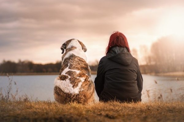 Estate, viaggi, vacanze e coinquilini a 4 zampe: diritti dei nostri amici animali e doveri di chi ha la fortuna di vivere con loro
