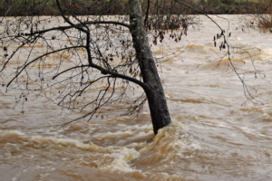 Alluvione, occorre il massimo impegno nella tutela dei cittadini coinvolti.