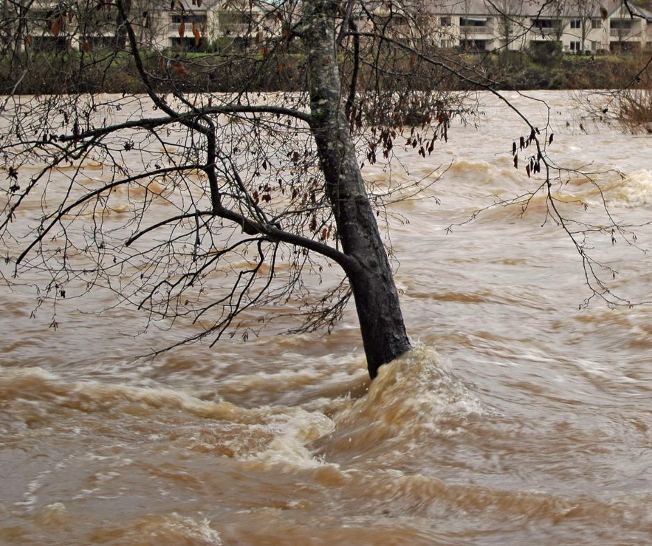 Al momento stai visualizzando Alluvione, occorre il massimo impegno nella tutela dei cittadini coinvolti.